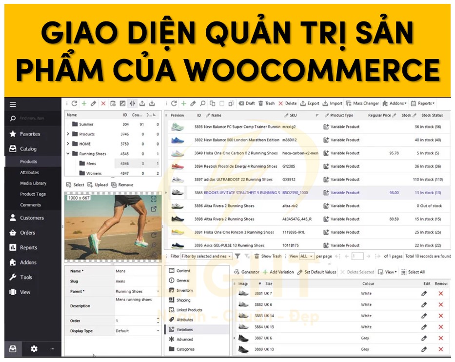 giao-dien-woocommerce